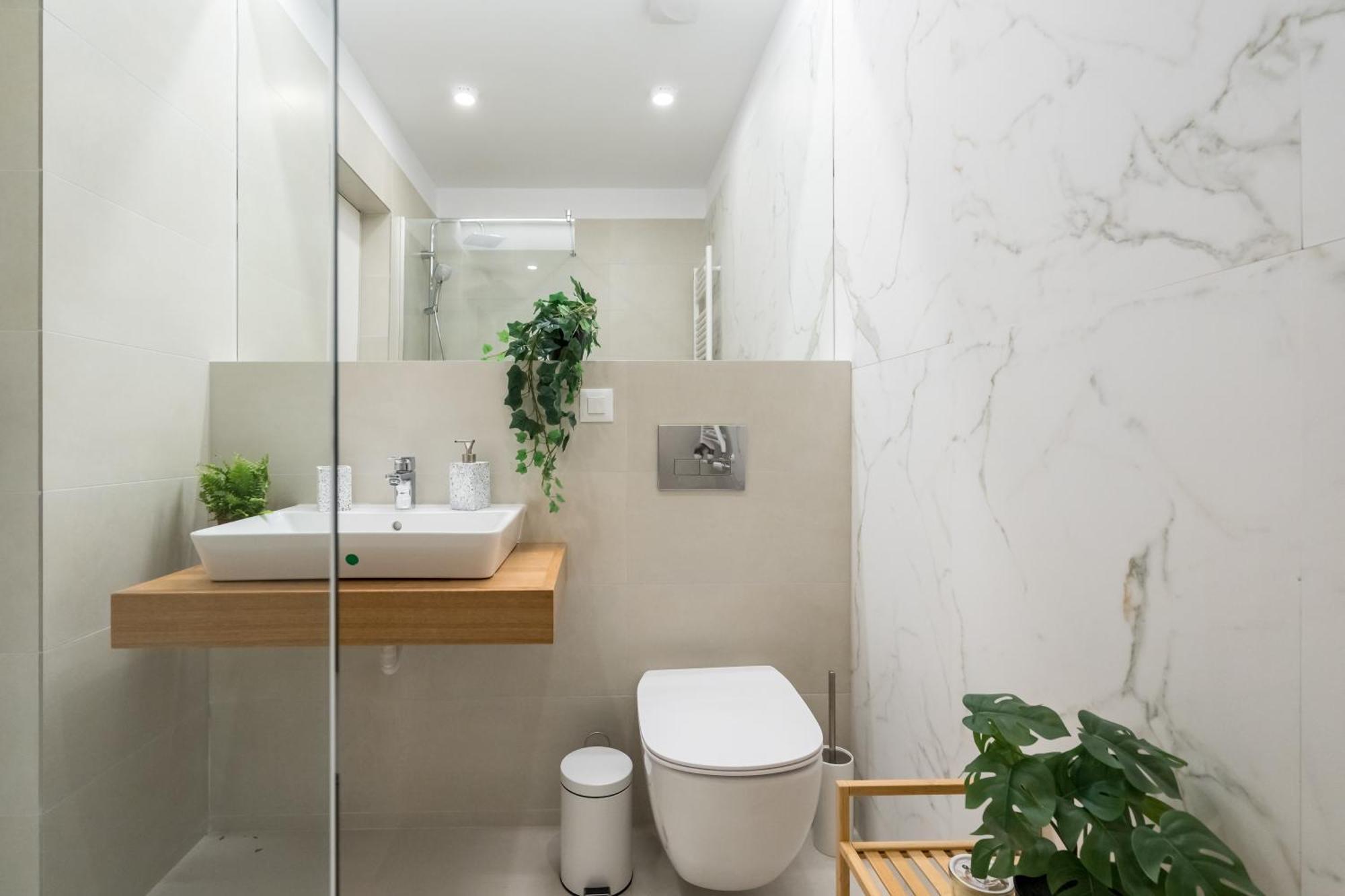 Appartement Botanlque 1br In Business Centre