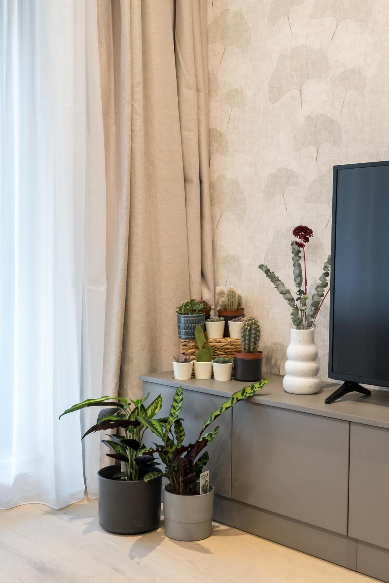 Botanlque 1br In Business Centre *